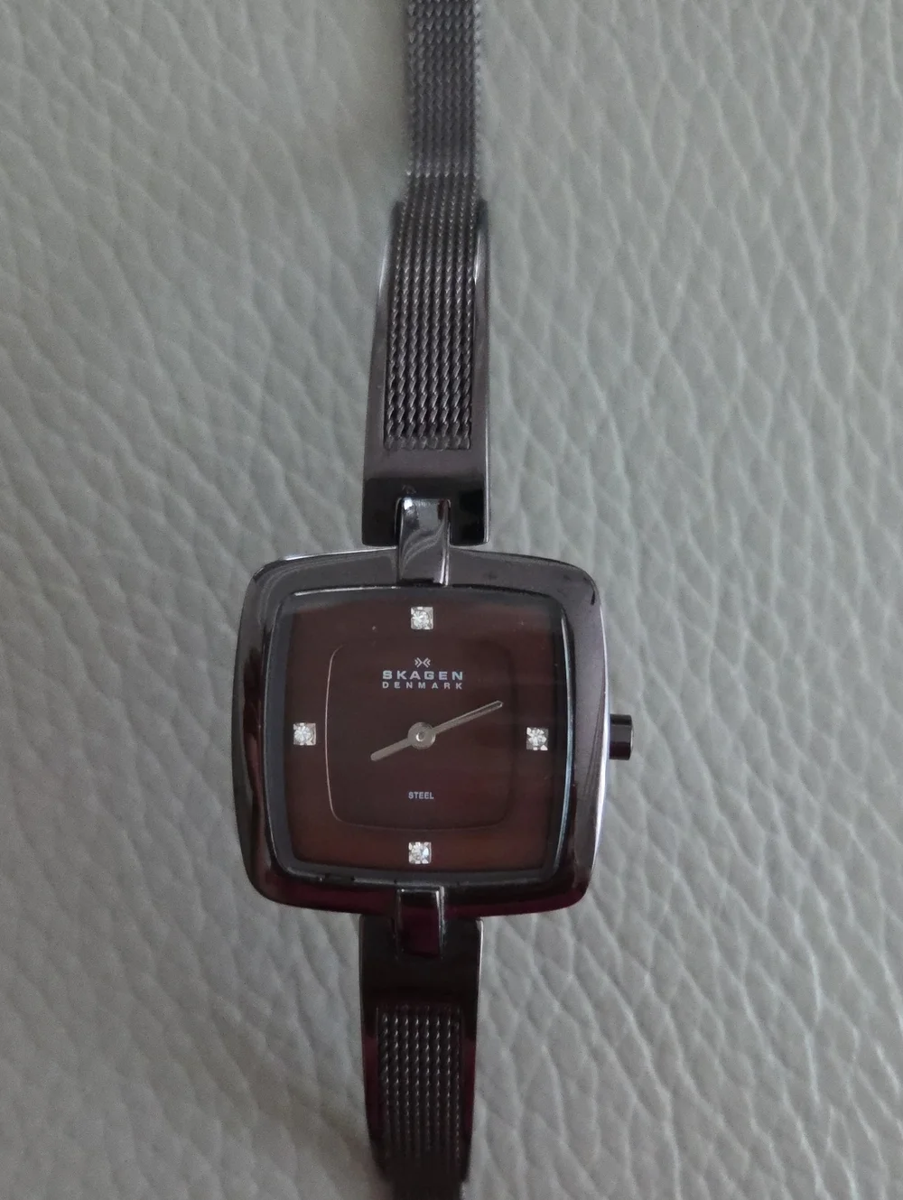 Skagen Women's Brown Dial Stainless Steel Bracelet Watch